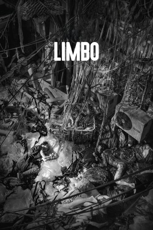 دانلود فیلم Limbo برزخ